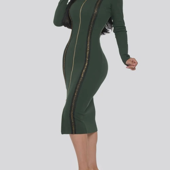 Midi Dress with Gold Trim Detail and 2 Way zipper - Picture 3 of 8